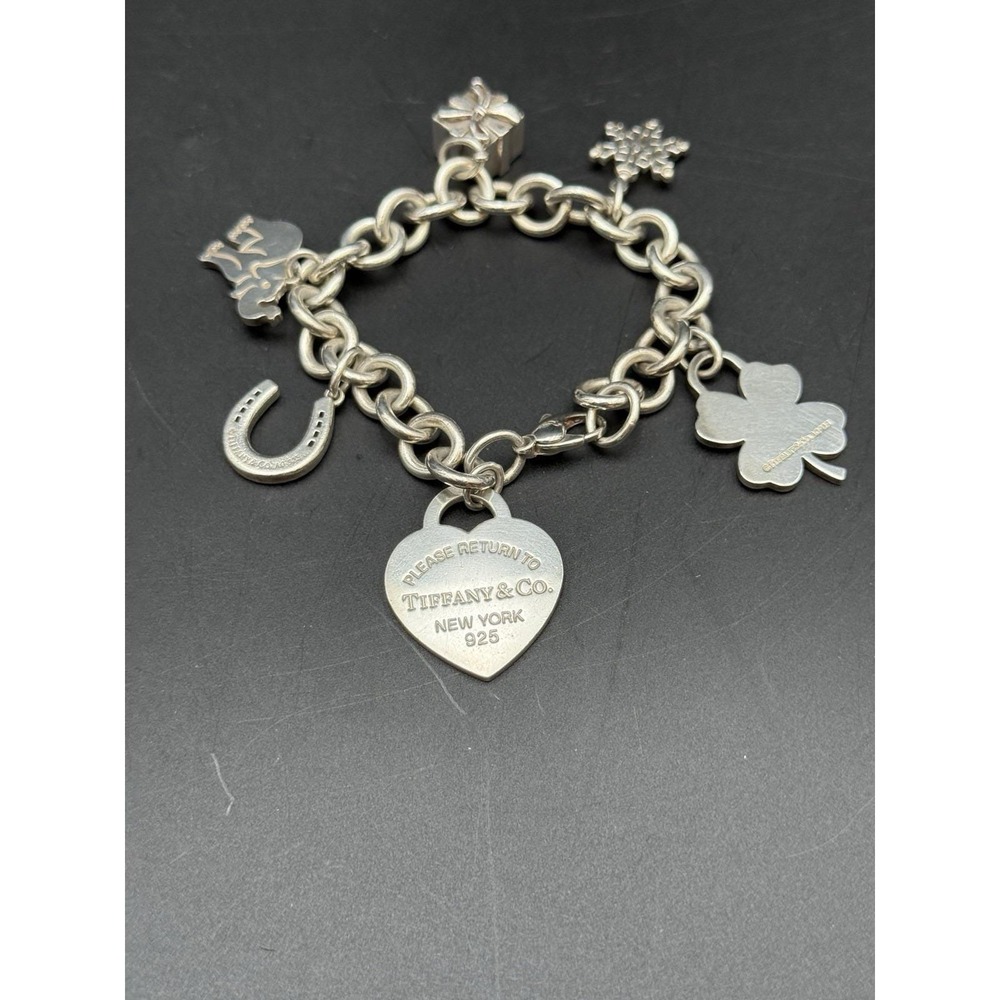 Rare Tiffany & Co Heavy Sterling Silver Multi‎ Charm Link Bracelet 6 Charms